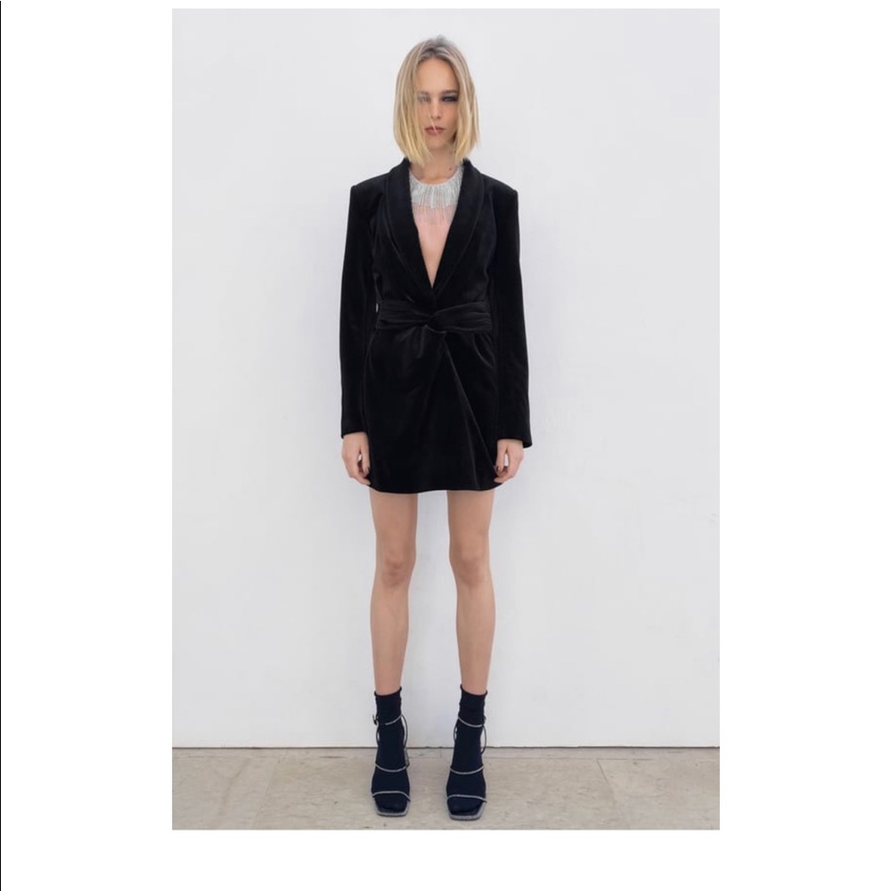 Brand new Zara velvet dress
